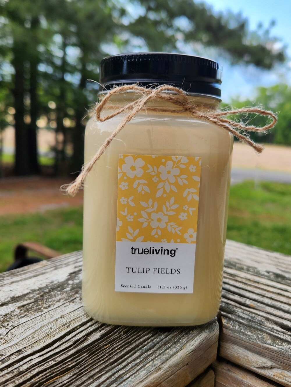 Tulip Fields Scented Candle - Cream